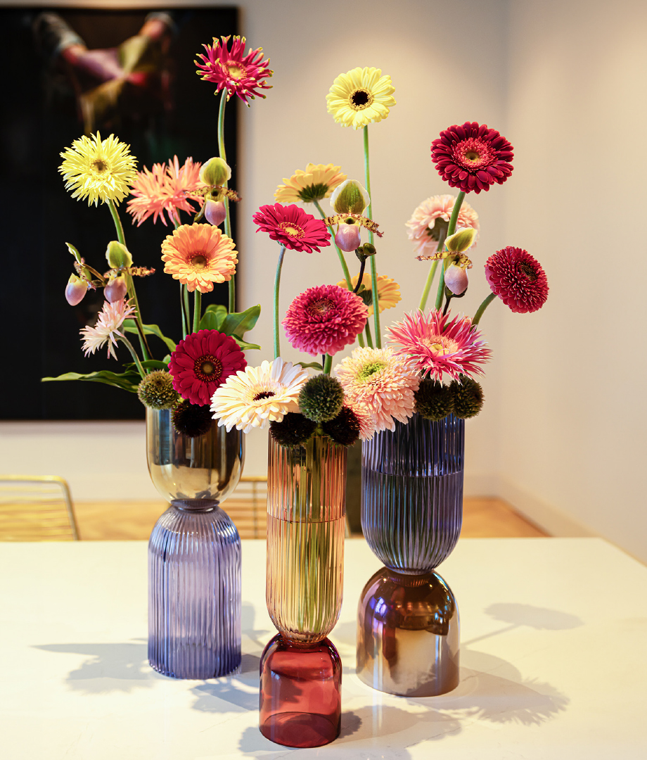 kleuren gerbera's