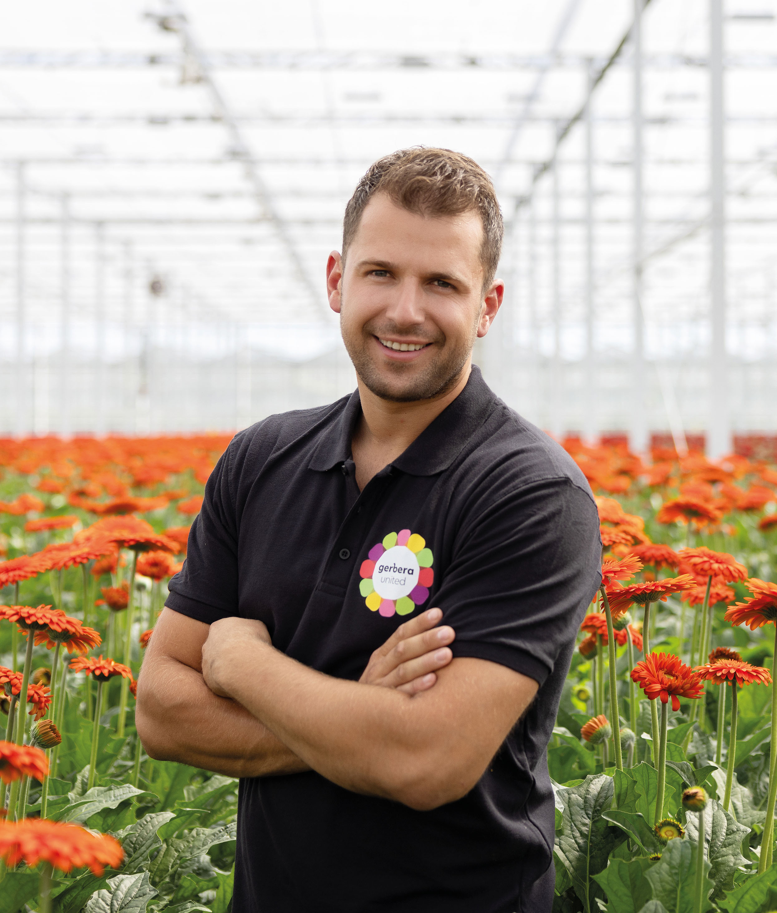 Gerbera United Fotografie