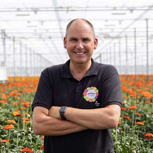 Gerbera United quote