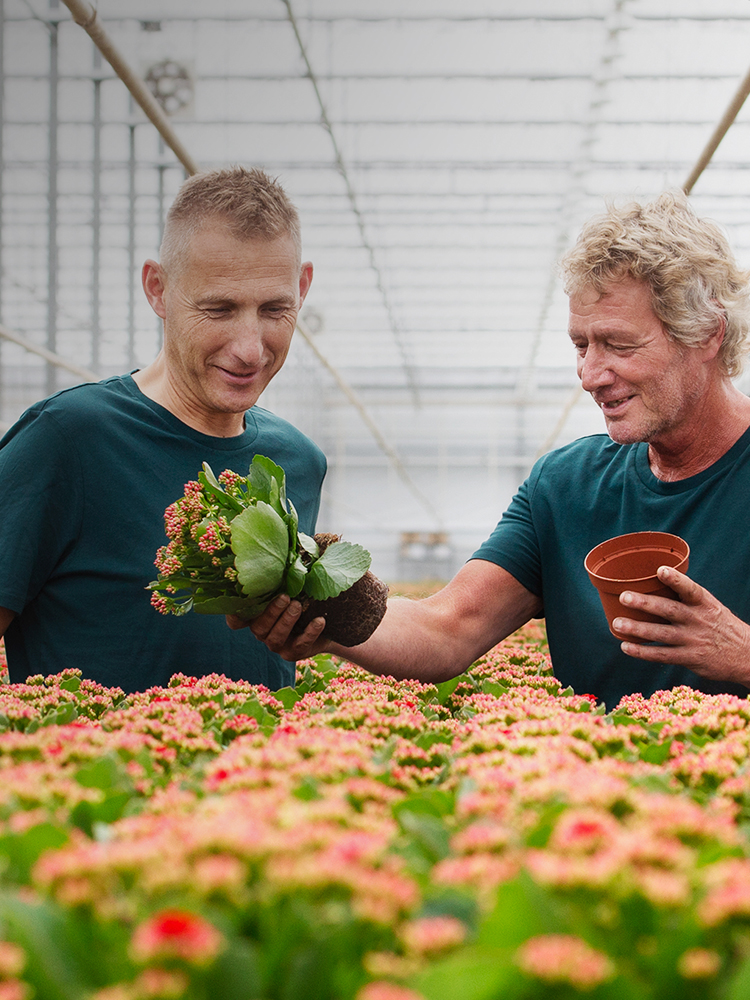 Vandeez cases land & tuinbouw