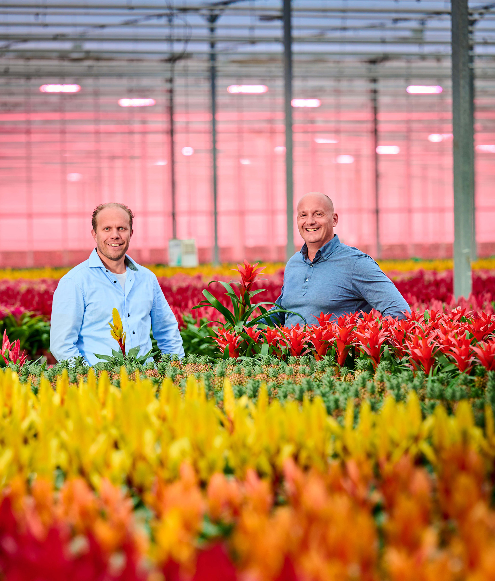 One Flora Group Fotografie