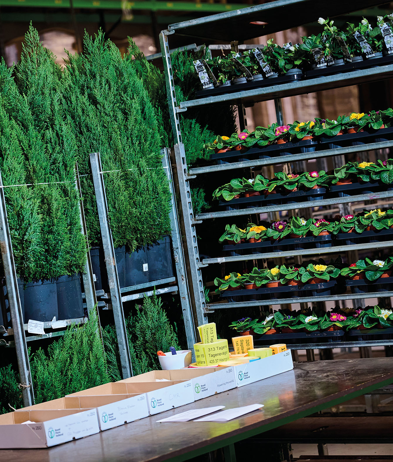 PlantPartners photography