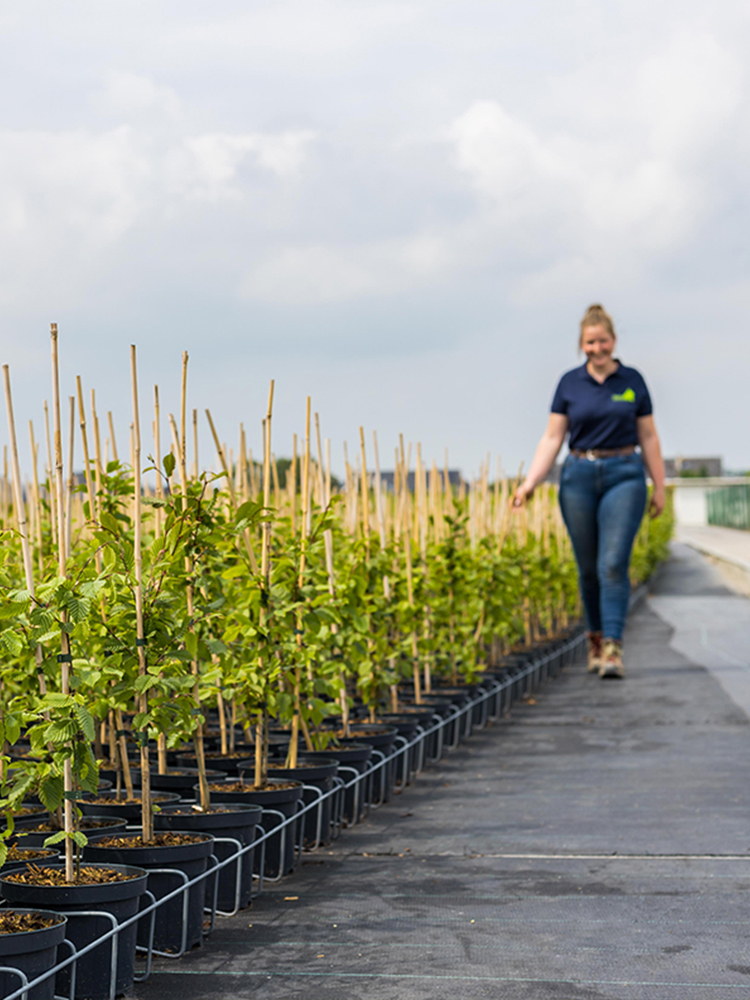 Vandeez cases land & tuinbouw